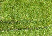Artificial Grass Sheffield image 3